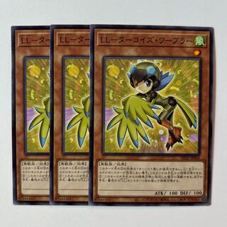 11202 LL-Turquoise Warbler *519