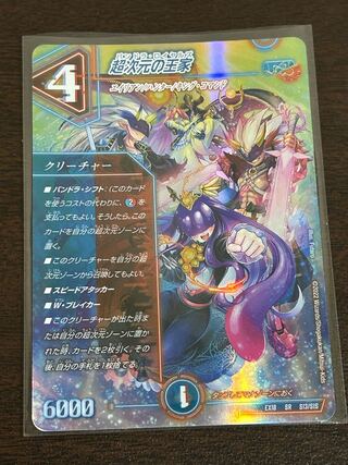 超次元の王家 SR S13/S15