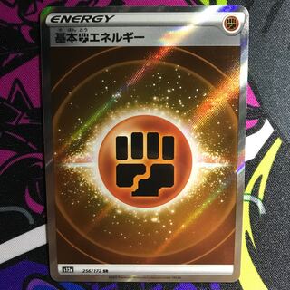 基本闘エネルギー SR 256/172