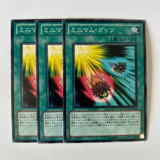 11207 ミニマム・ガッツ ノーマル JP052