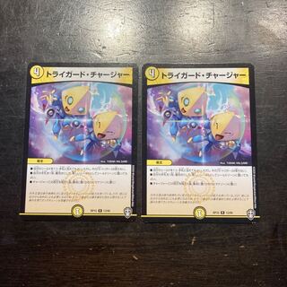 トライガード・チャージャー R 13/95