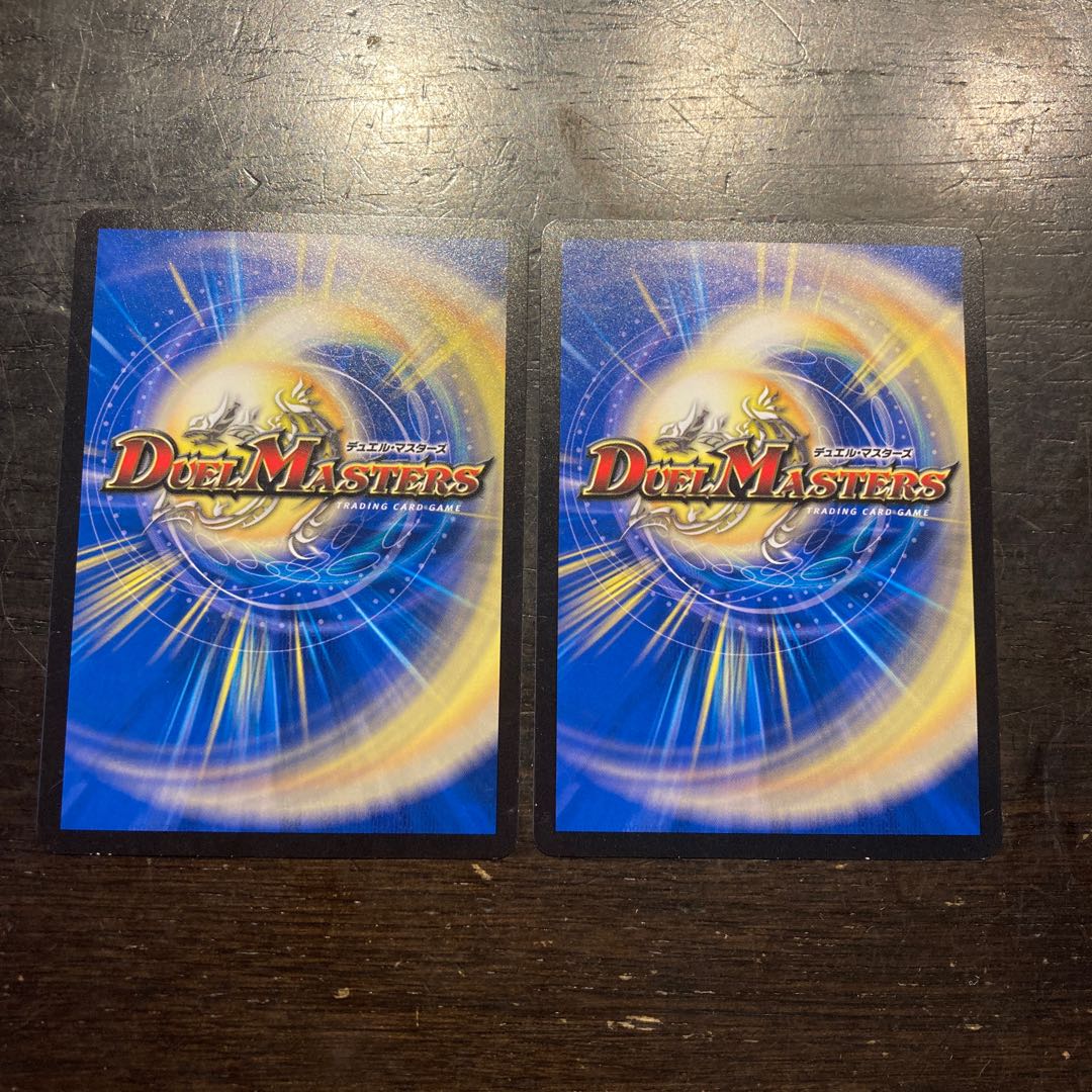 トライガード・チャージャー R 13/95