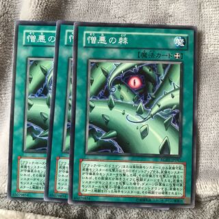 マドレース 憎悪の棘