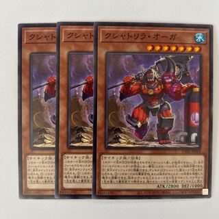 Kshatrira auger *546