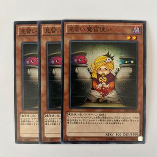 11219 Apprentice Piper *548