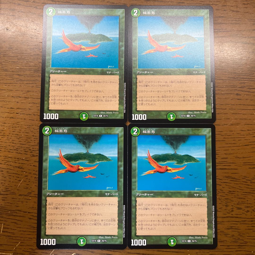 Birds of Paradise R 29/75