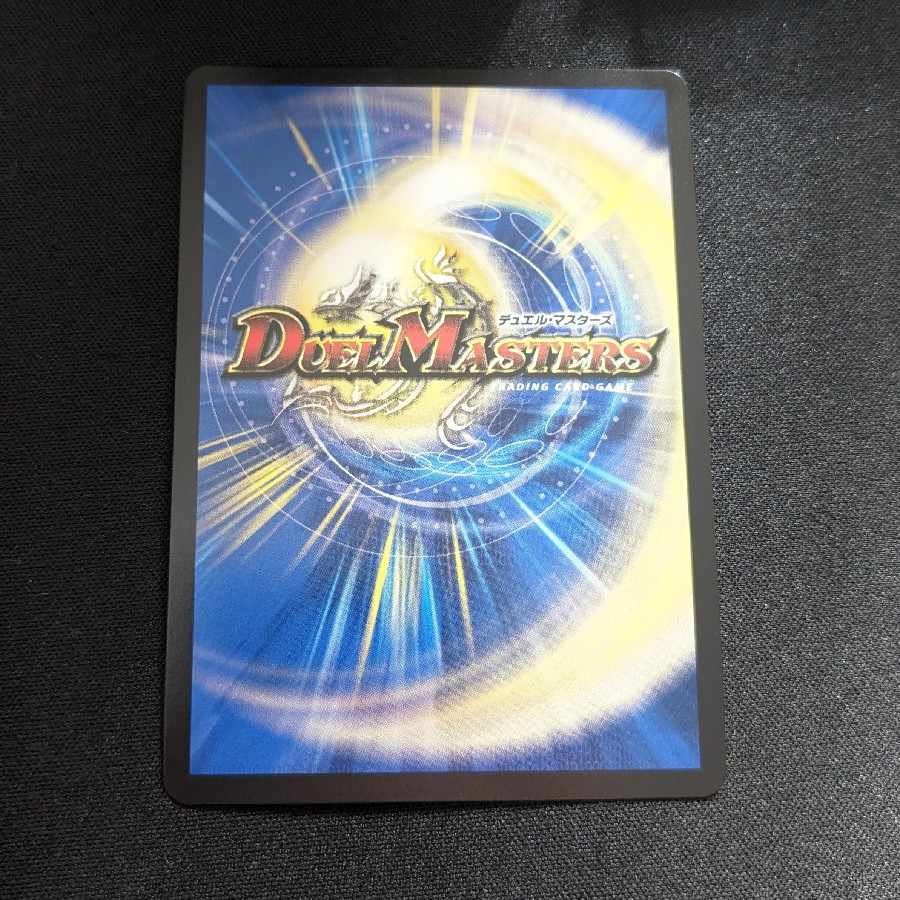 龍風混成 ザーディクリカ SR SE4/SE10