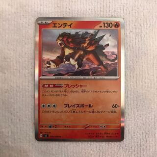 エンテイ R 016/108