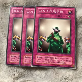 マドレース DNA改造手術