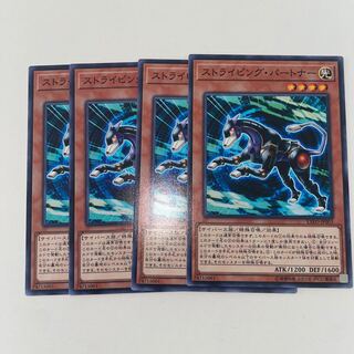 ストライピング・パートナー ノーマル JP003