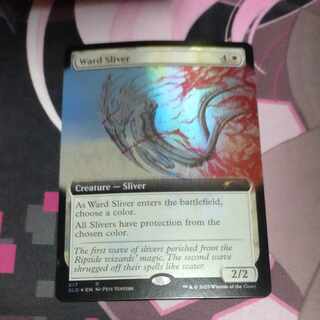 護法スリヴァー