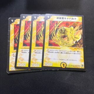 Pilgrim Cavalt R 13/110