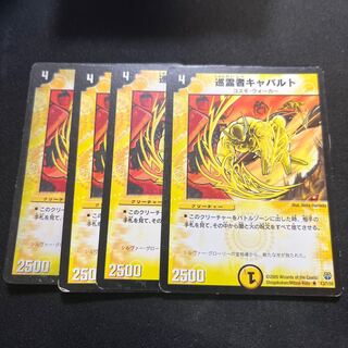 Pilgrim Cavalt R 13/110