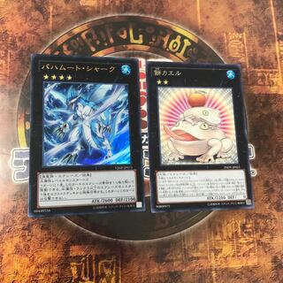 遊戯王★バハムート・シャーク、餅カエル★