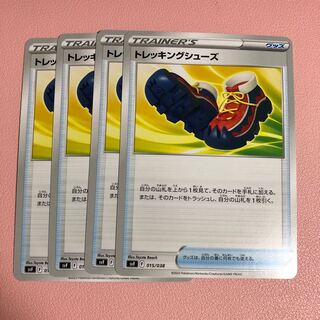 Trekking shoes 015/038