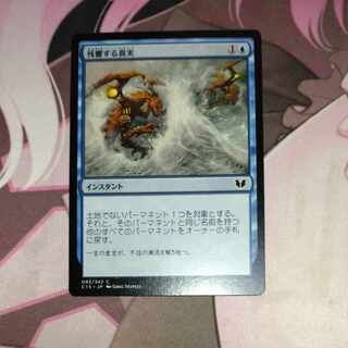 残響する真実 コモン 93/342