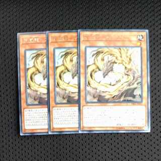 天威龍-アーダラ レア JP012✕３　【木林堂】