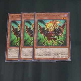 BF-下弦サルンガ　ノーマル　JP008✕３　【木林堂】