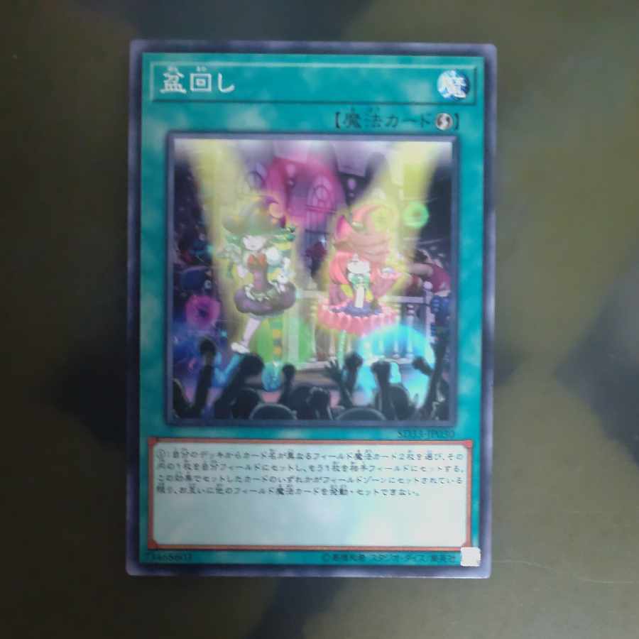 Set Rotation Normal JP030