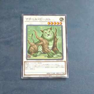 Naturia Beast Super Rare JP201 [Korindo