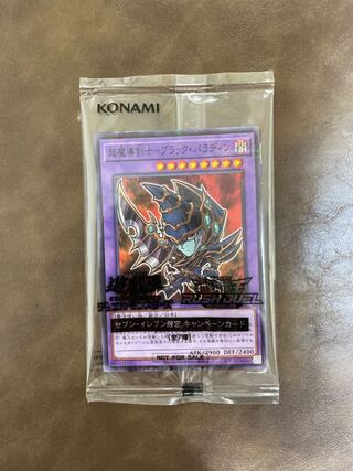 Psychic Mage Swordsman - Black Paladin Secret Rare JPY38