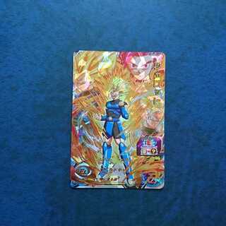 SDBH UGM8 UR Shallot