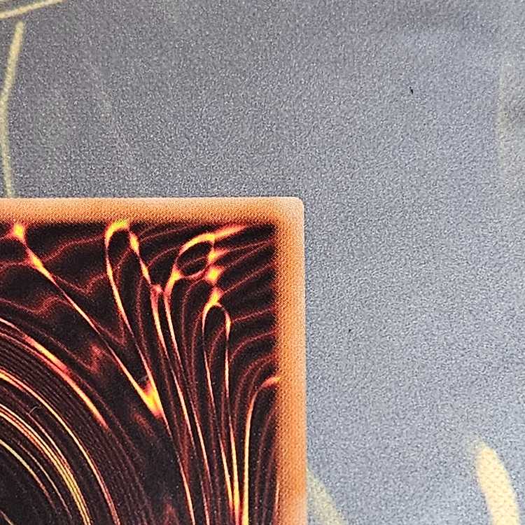 Borreload Savage Dragon 20th Secret Rare