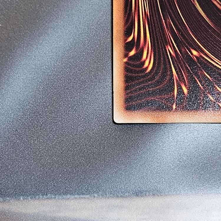 Borreload Savage Dragon 20th Secret Rare