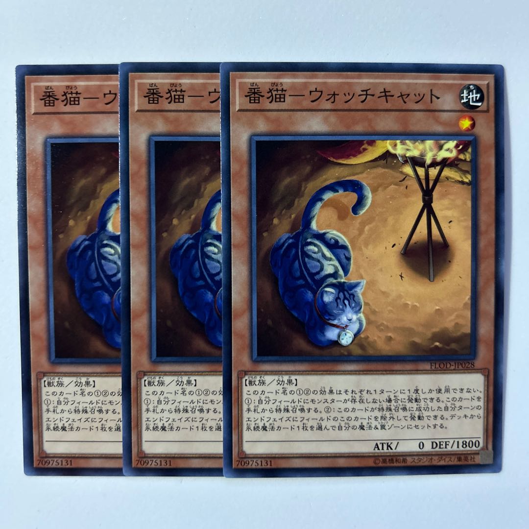 11224 Watch cat *555