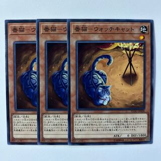 11224 Watch cat *555