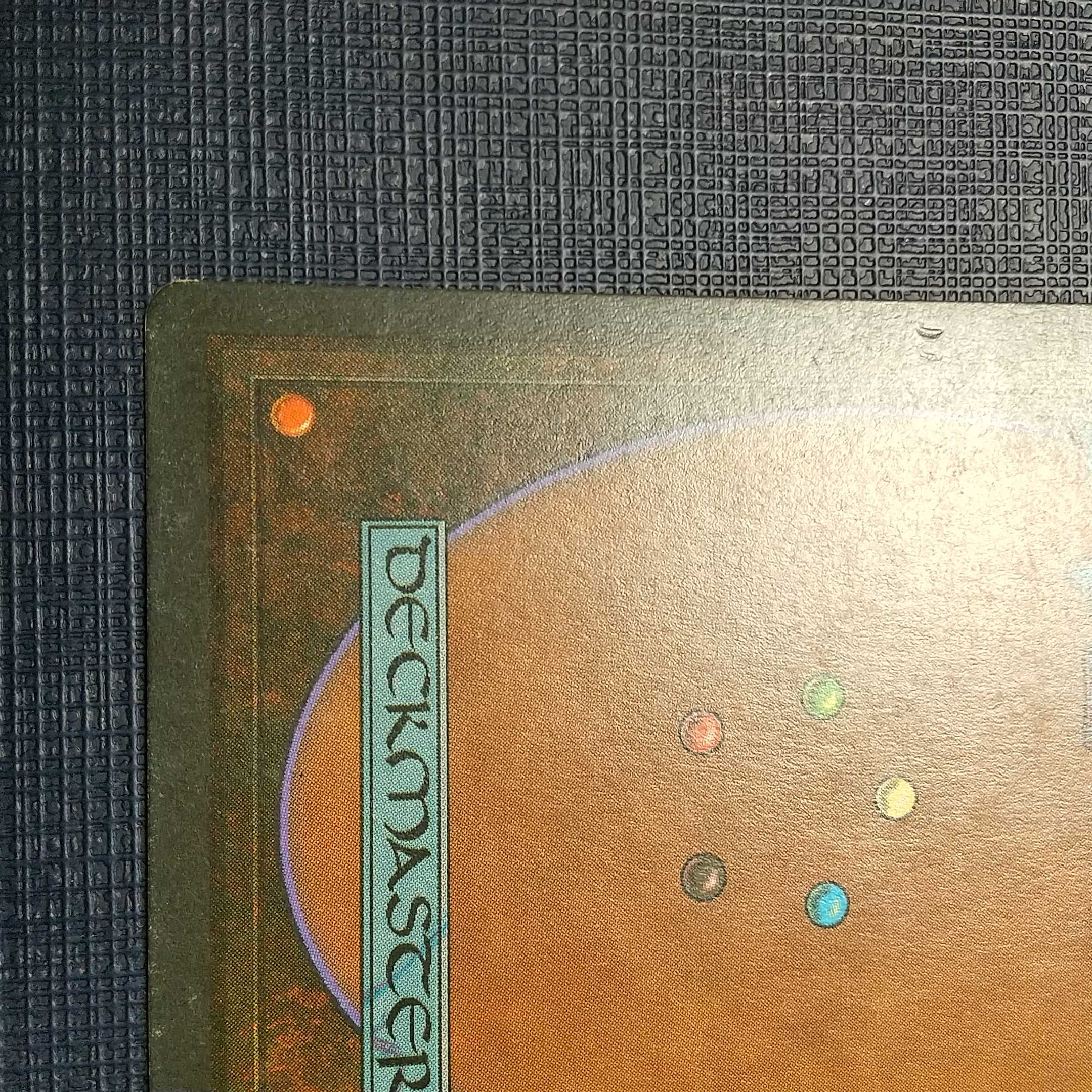 savannah FBB (French black frame)