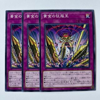 11243 El Dorado Adelantado *577