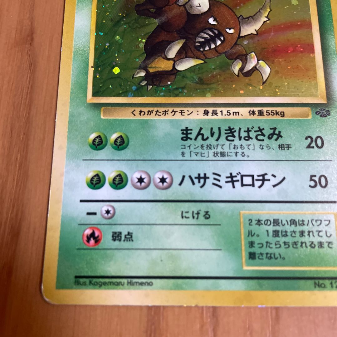 Pinsir Old Back Jungle