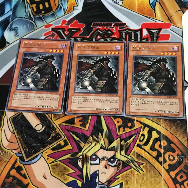 終末の騎士 PTDN 10 レア 3枚セット てら