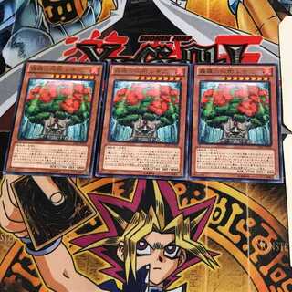 森羅の仙樹 レギア LVAL 6 レア 3枚セット てら