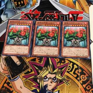 森羅の仙樹 レギア LVAL 9 レア 3枚セット てら