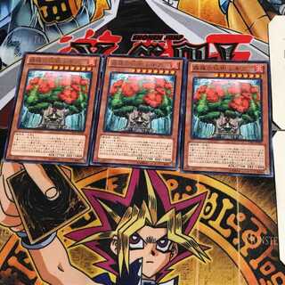 森羅の仙樹 レギア LVAL 10 レア 3枚セット てら