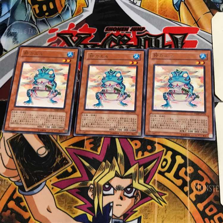 粋カエル TSHD 7 レア 3枚セット てら