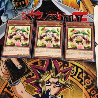 占術姫コインノーマ CPD1 6 レア 3枚セット てら