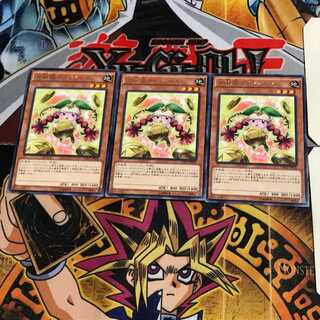 Prediction Princess Coinorma CPD1 7 Rare Set of 3 Tera