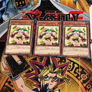 Prediction Princess Coinorma CPD1 9 Rare Set of 3 Tera