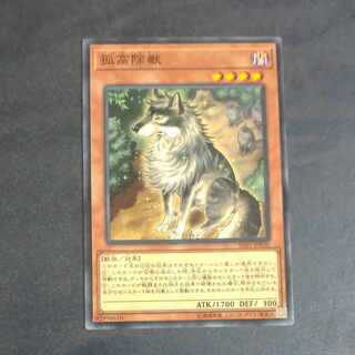 Aloof Lupine Normal rare JP030 [Korindo