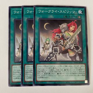 11269 ウォークライ・スピリッツ ノーマル JP039