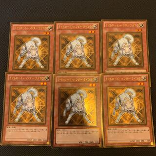 Ryko, Lightsworn Hunter