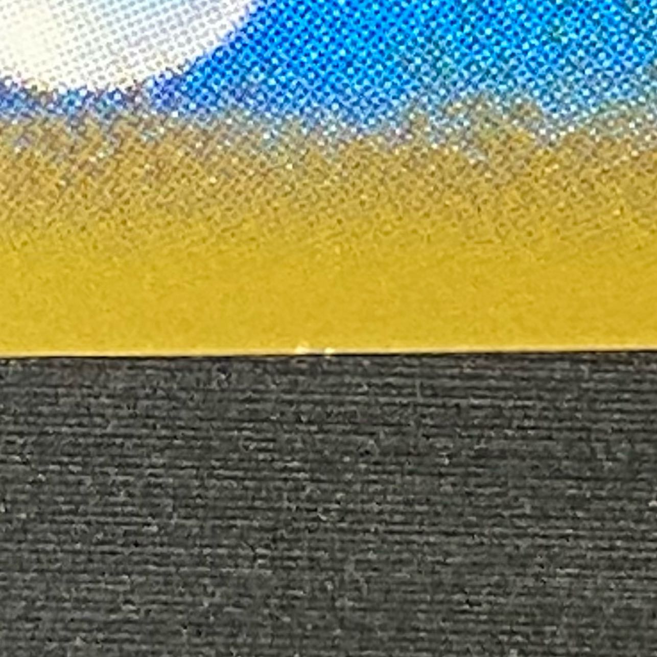 Raikou (promo) 061/L-P