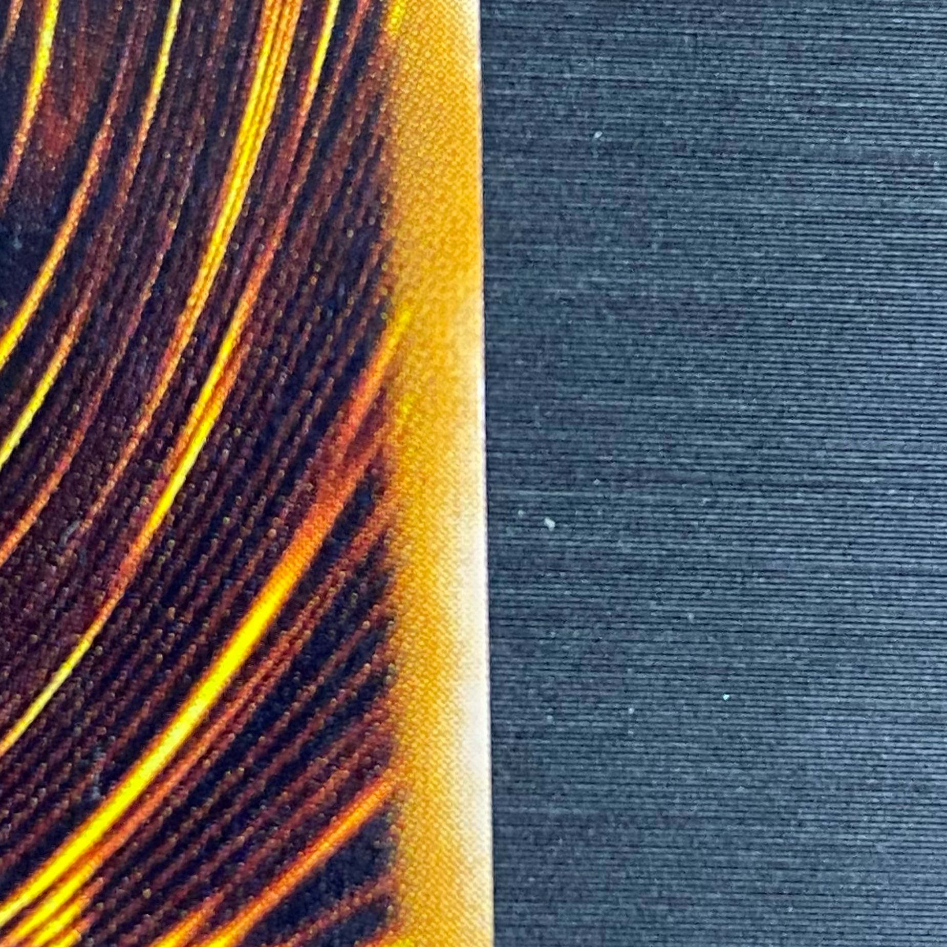 心変わり ウルトラパラレル 1枚