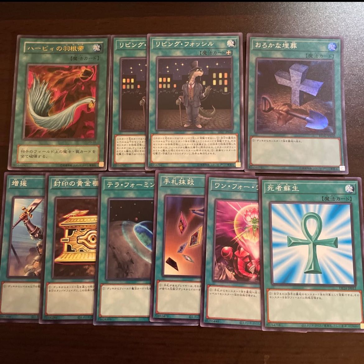 General-purpose magic set (5) Har Cleffa's Feather Broom, Living Fossil, Foolish Burial, Monster Reborn, One for One, Card Destruction, Terraforming, Gold Sarcophagus, and Reinforcements