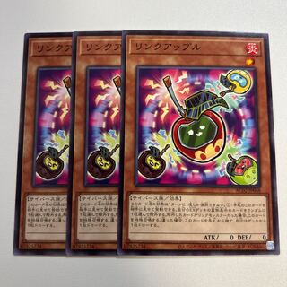 11293 リンクアップル ノーマル JP048