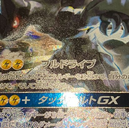 きっしー様専用 1P