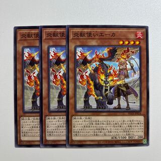 11313 炎獣使いエーカ ノーマル JP034